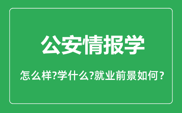 公安情報學(xué)專業(yè)怎么樣,公安情報學(xué)專業(yè)主要學(xué)什么,就業(yè)前景怎么樣