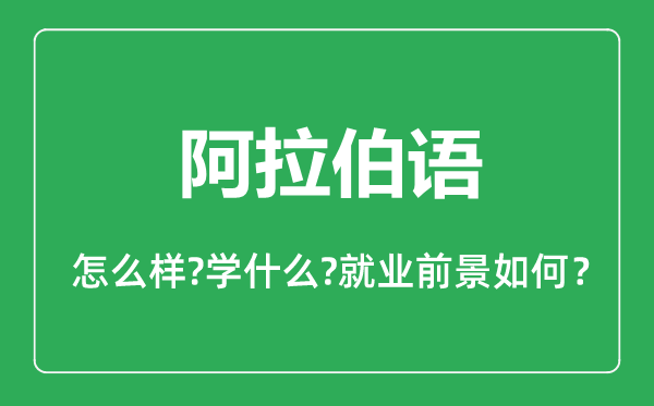 阿拉伯語專業(yè)怎么樣,阿拉伯語專業(yè)主要學(xué)什么,就業(yè)前景怎么樣