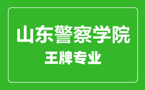 山東警察學(xué)院王牌專業(yè)有哪些,山東警察學(xué)院最好的專業(yè)是什么