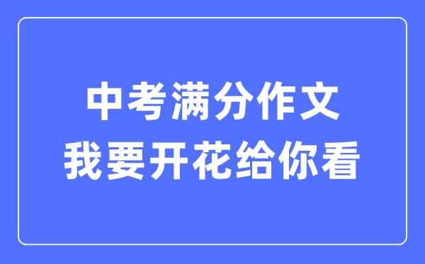 中考滿分作文：我要開花給你看