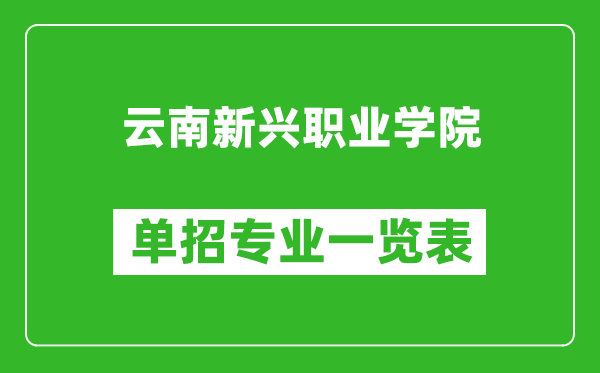 云南新興職業(yè)學(xué)院單招專業(yè)一覽表