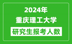 2024年重慶理工大學(xué)研究生報考人數(shù)