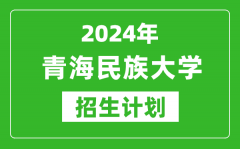 2024年青海民族大學藝考招生計劃_藝術(shù)類各專業(yè)招生人數(shù)