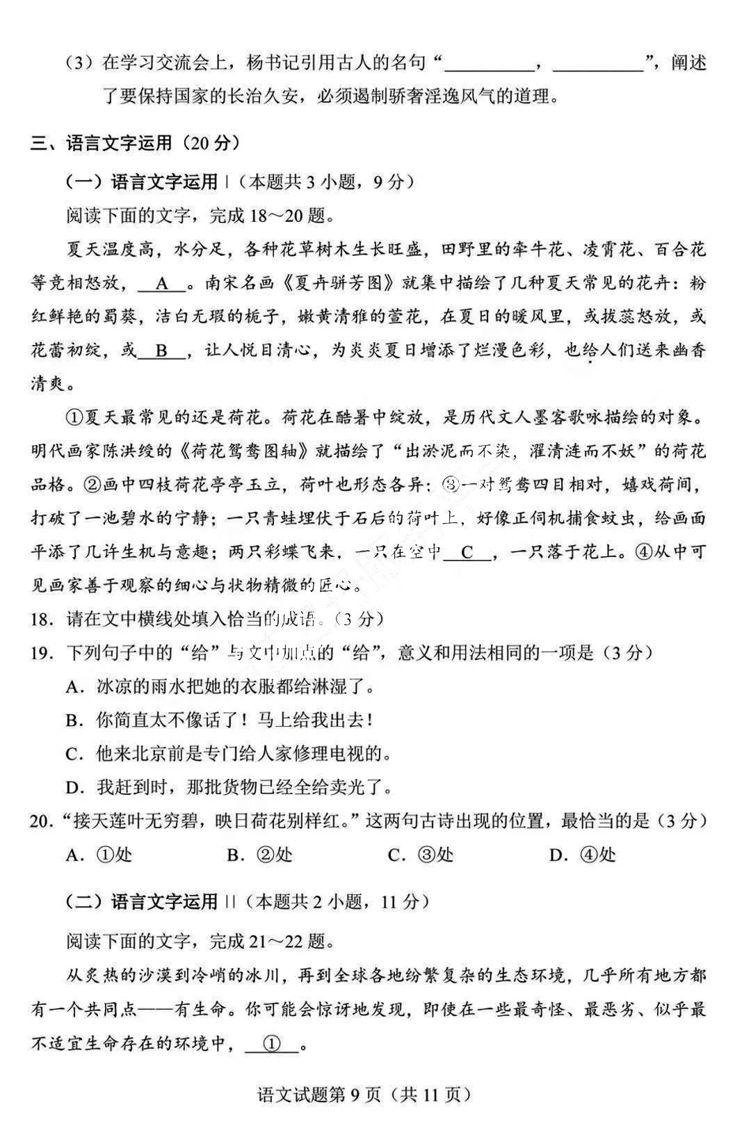 新高考2024年九省聯(lián)考語文試卷及答案解析