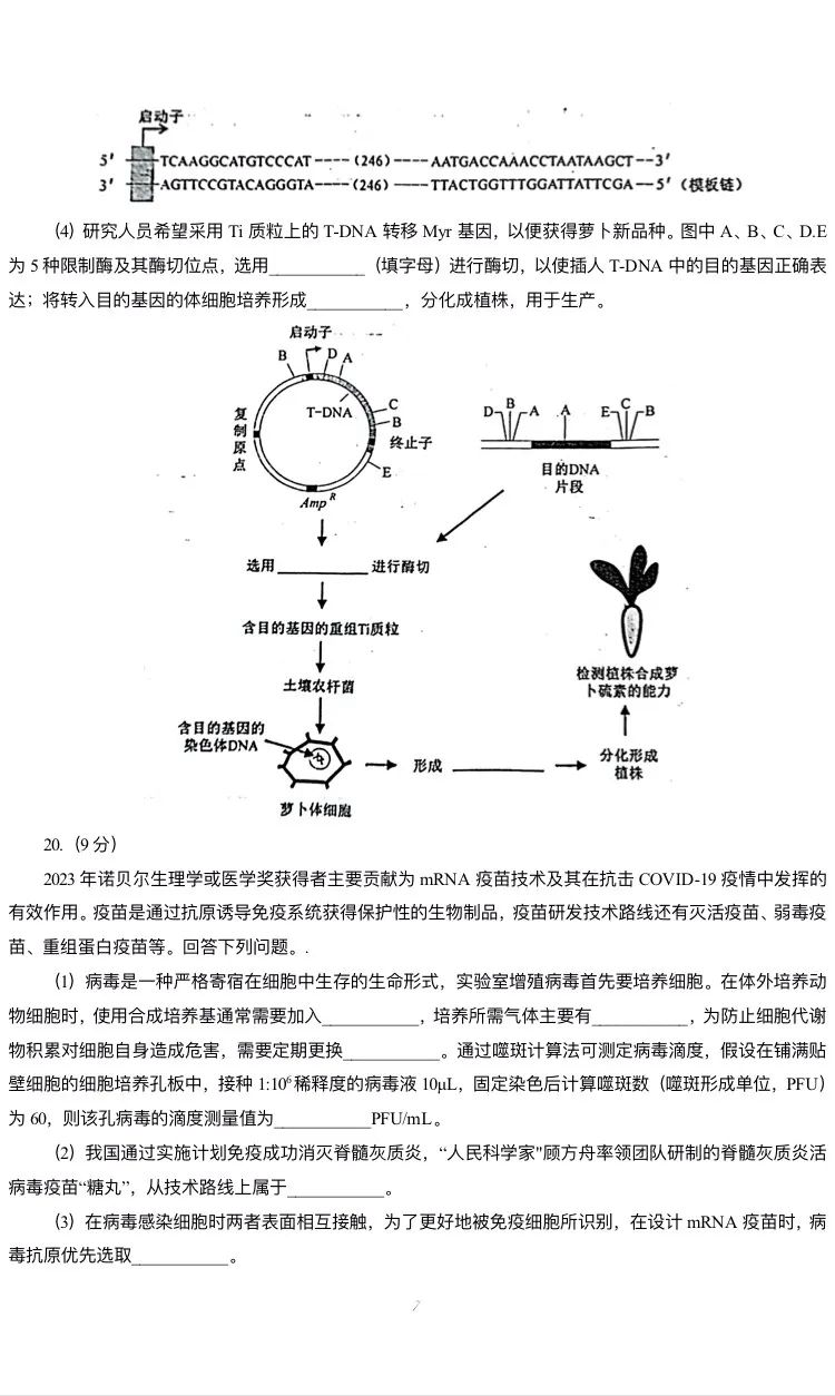 新高考2024七省聯(lián)考生物試卷及答案解析