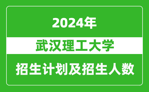 武漢理工大學2024年在海南的招生計劃及招生人數(shù)