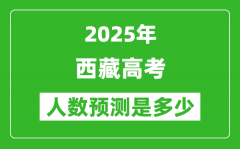 2025年西藏高考人數(shù)是多少_西藏高考人數(shù)預(yù)測