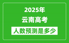 2025年云南高考人數是多少_云南高考人數預測